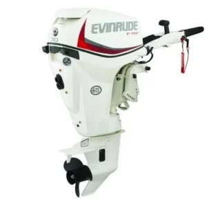 2018 Evinrude E-TEC 30 HP E30DRS Outboard Motor