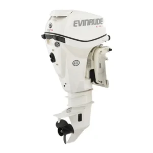 2021 Evinrude E15HPGX E-TEC Outboard Motor for sale