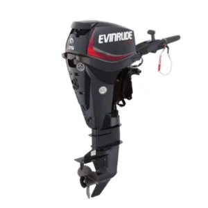 2021 Evinrude E25DGTE E-TEC Outboard Motor for sale