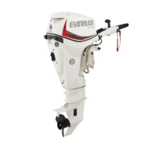 2021 Evinrude E30DGTL E-TEC Outboard Motor for sale