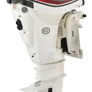 2018 Evinrude ETEC 30 HP 2-Cylinder DFI 2-Stroke 20″(L) Outboard Motor